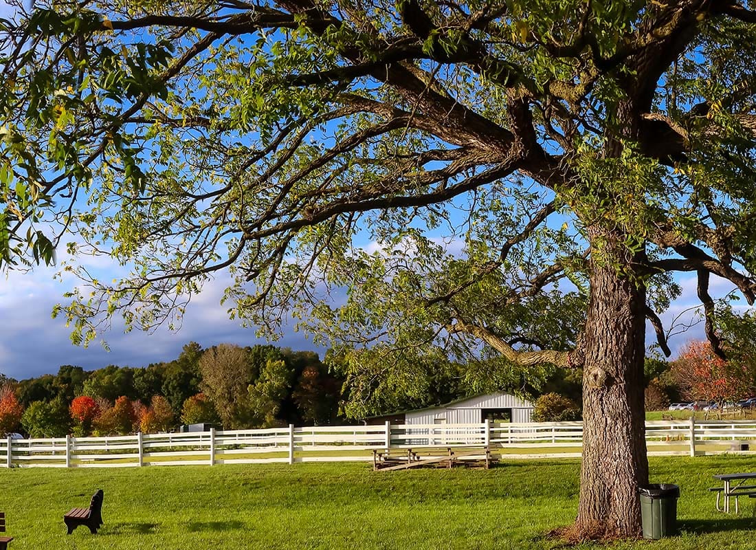 Farmington Hills, MI - Scenic View of a Big Oak Tree on a Field of Green Grass on a Farm with a White Picket Fence During the Fall in Farmington Hills Michigan